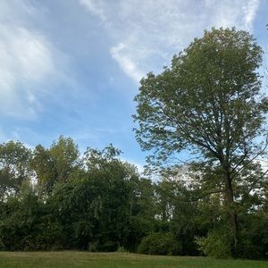 Meet your Posher, Kaylee